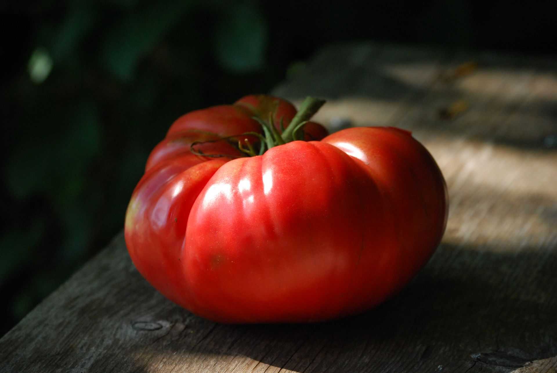 Tomate Mémé de Beauce