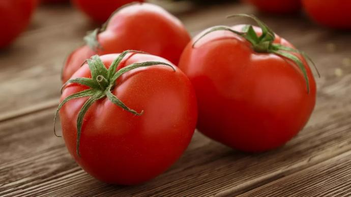 Évènements ventes semences de semences Terre Promise