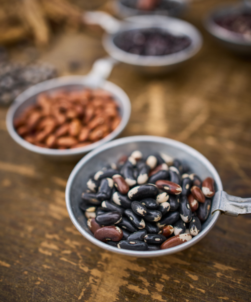 Terre Promise_semences_Producteur_ Livraison Terre Promise_semences_Producteur_ Livraison