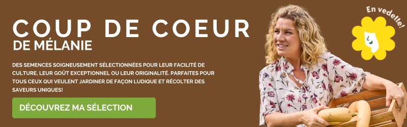 Terre Promise_Coup de coeur de Mélanie Terre Promise_Coup de coeur de Mélanie