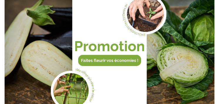 Terre Promise_Coup de coeur de Mélanie _ Promotion Terre Promise_Coup de coeur de Mélanie _ Promotion