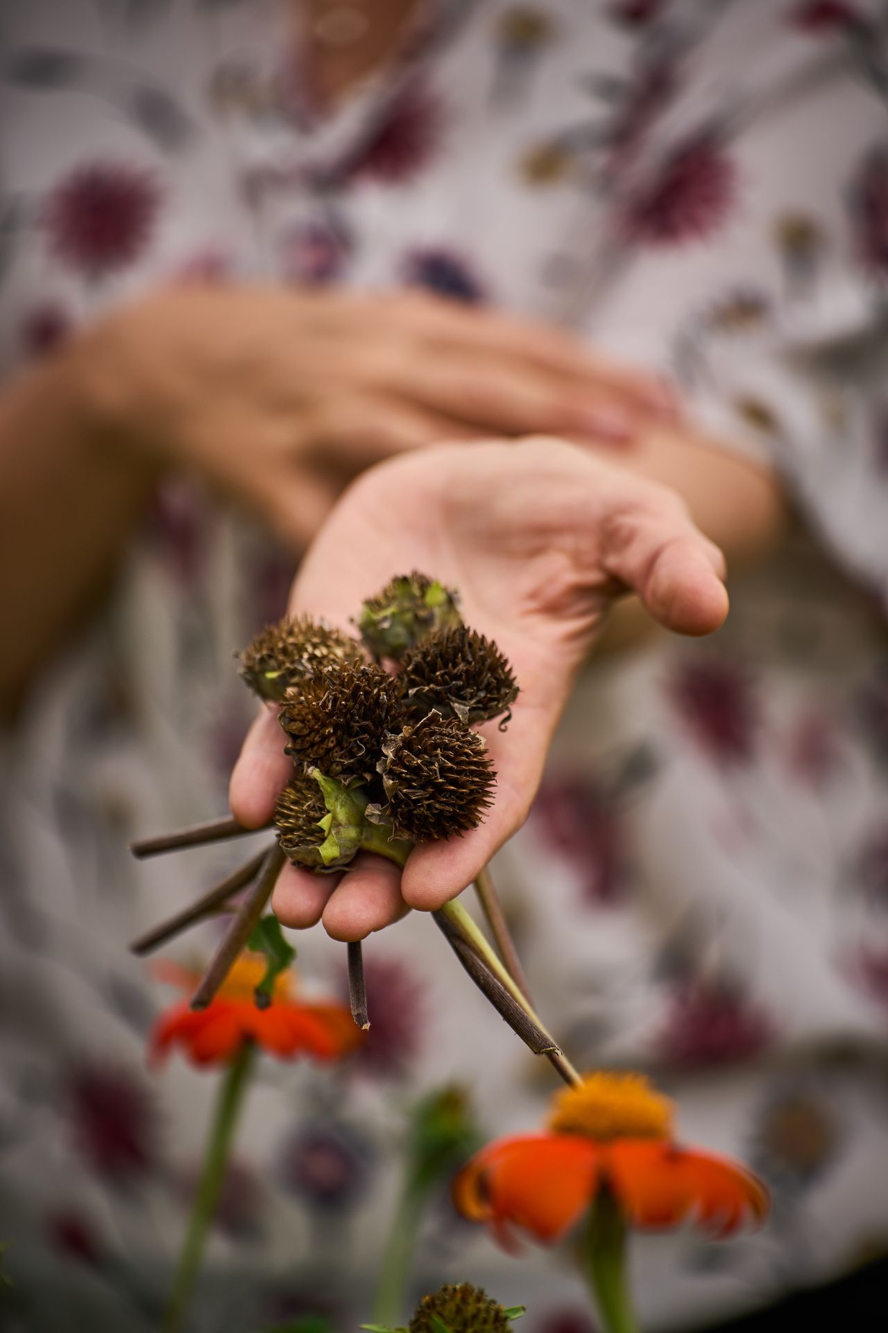 fier d'être un producteur de semences d'ici_Terre promise fier d'être un producteur de semences d'ici_Terre promise