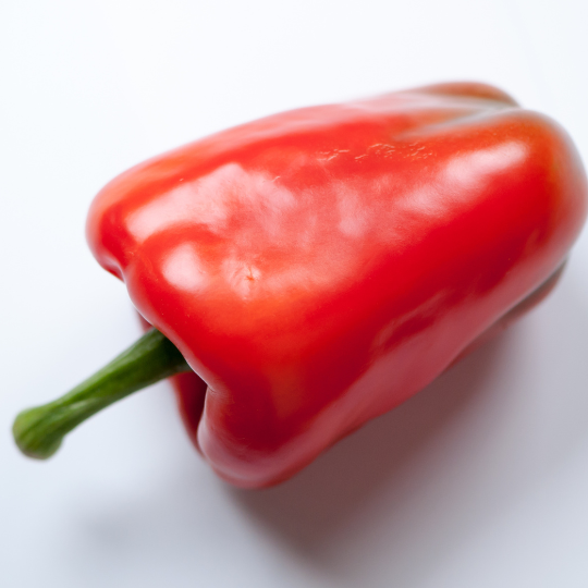 Yankee pepper (Capsicum anuum)
