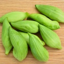 Achocha cucumber (Cyclanthera pedata)