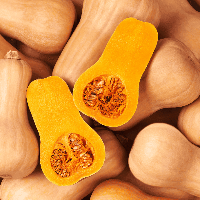 Butternut Squash (Cucurbita moschata)