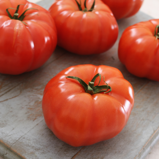 Savignac (Dufresne) tomato (Solanum lycopersicum 'Savignac')