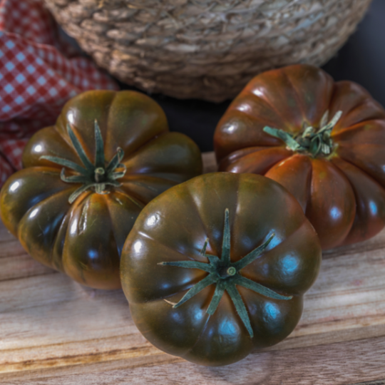 Black Ruffle Tomato (Solanum lycopersicum)