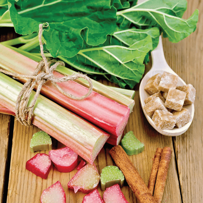 Rhubarbe (Rheum rhabarbarum)﻿