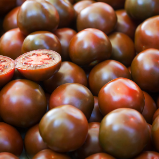 Black Cherry Tomato (Solanum lycopersicum)