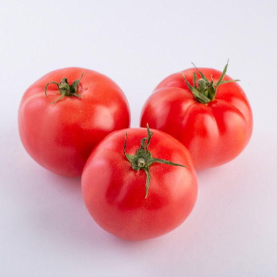 Tomate Québec #13 (Solanum lycopersicum)