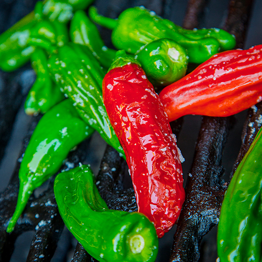 Piment Shishito (Capsicum anuum)