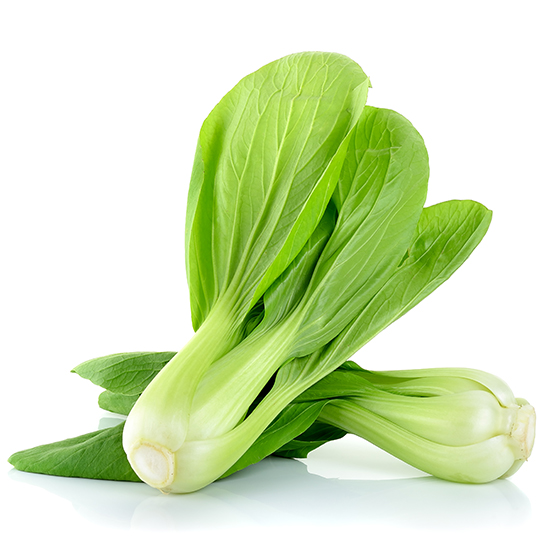 Bok Choy Shanghai Green cabbage (Brassica rapa var. chinensis)