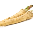 Perennial horseradish (Armoracia rusticana)