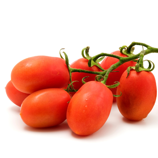 Rio Grande Tomato (Solanum lycopersicum)