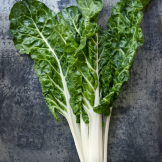 Swiss Chard Fordhook (Beta vulgaris)