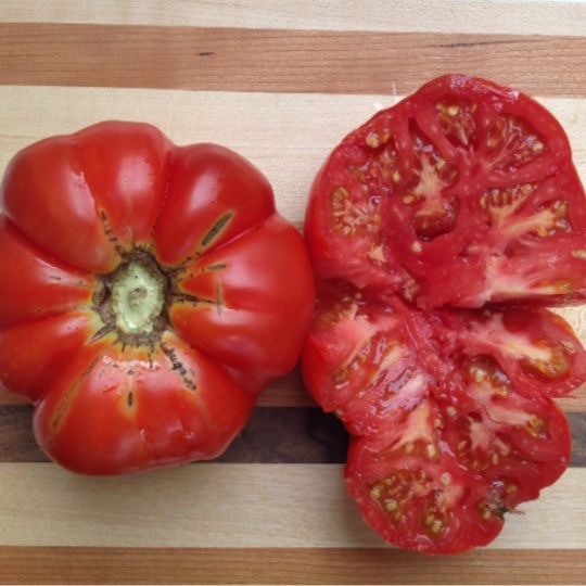 Tomate Palestinienne (Solanum lycopersicum)