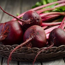 [030] Detroit Beet (Beta vulgaris)