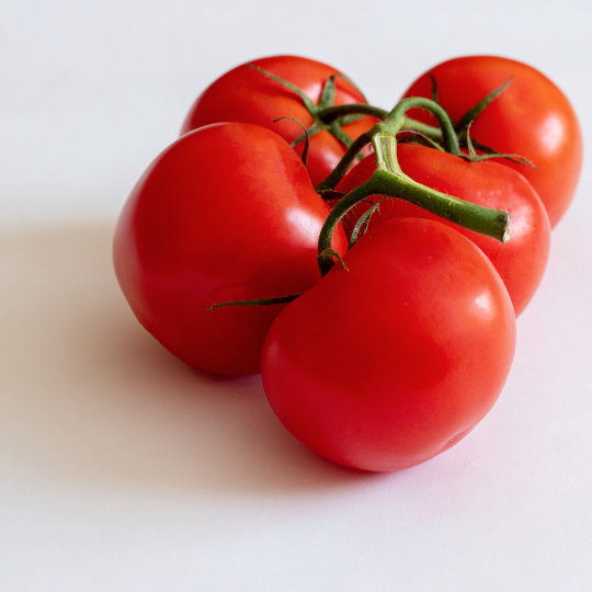 Bishop Castle Tomato (Solanum lycopersicum)