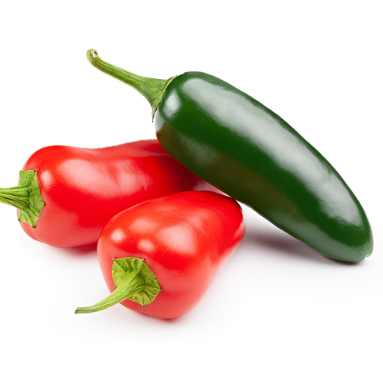 Piment Jalapeño (Capsicum annuum)