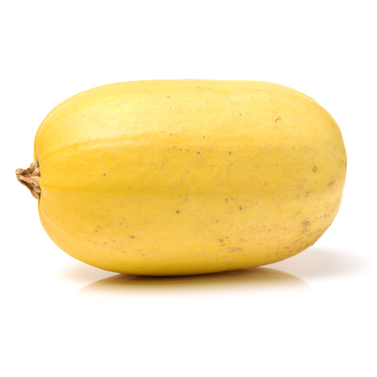 Spaghetti Squash (Cucurbita pepo)