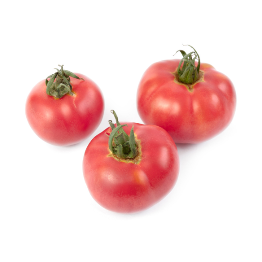 Bern Rose Tomato (Solanum lycopersicum)