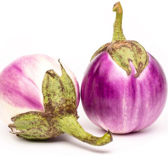 Eggplant Rosa Blanca (Solanum melongena)