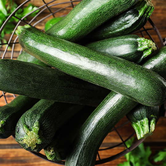 Courgette Dark Star (Cucurbita pepo)