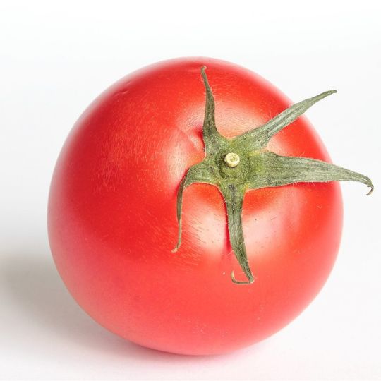 Red Ross Salad Tomato  (Solanum lycopersicum)