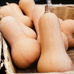 [346] Courge Butternut (Cucurbita moschata)