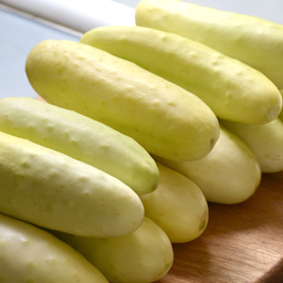 [205] Salt n Pepper Cucumber (Cucumis sativus)