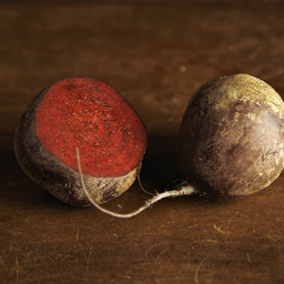 [110] Betterave Robin (Beta vulgaris)