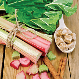 [193] ﻿Rhubarbe (Rheum rhabarbarum)﻿