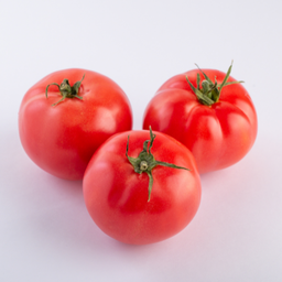 [320] Tomato Quebec #13 (Solanum lycopersicum)