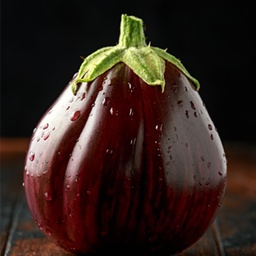 [16] Eggplant 'Black Beauty' (Solanum melongena)