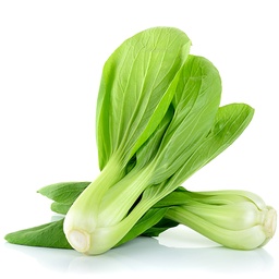 [53] Bok Choy Shanghai Green cabbage (Brassica rapa var. chinensis)