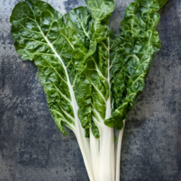 [028] Swiss Chard Fordhook (Beta vulgaris)