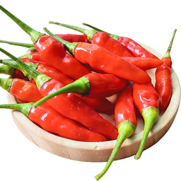 [155] Piment Aji Crystal (Pisum  baccatum)