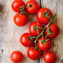 [323] Red Robin Dwarf Tomato (Solanum lycopersicum)