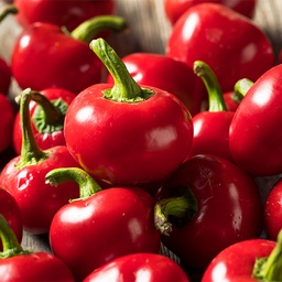 [130] Szentesi Cherry Pepper (Capsicum annuum)