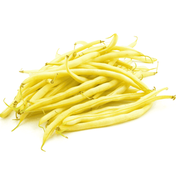 [260] Gold Rush bush bean (Phaseolus vulgaris)
